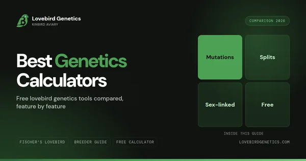 Best Lovebird Genetics Calculator 2026: Free Tools Compared
