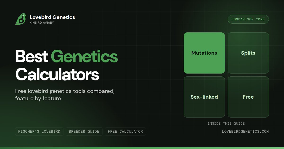 Best Lovebird Genetics Calculator 2026:Free Tools Compared