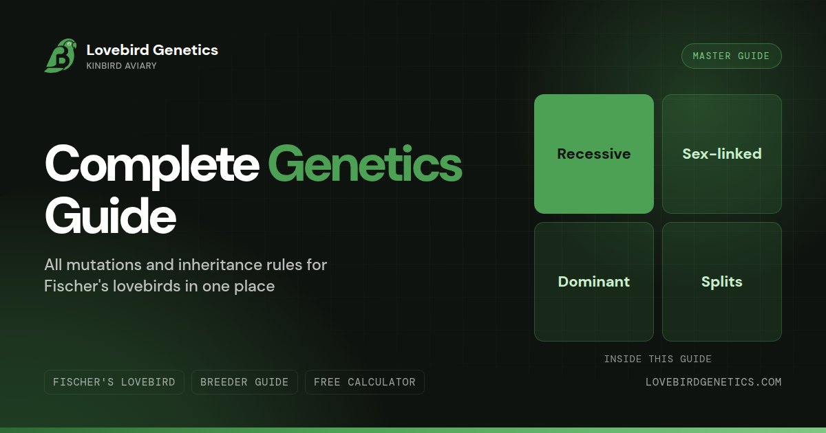 Complete Lovebird Genetics Guide:All Mutations and Inheritance Rules