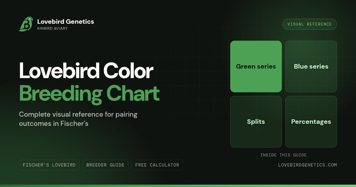 Lovebird Color Breeding Chart:Complete Visual Reference