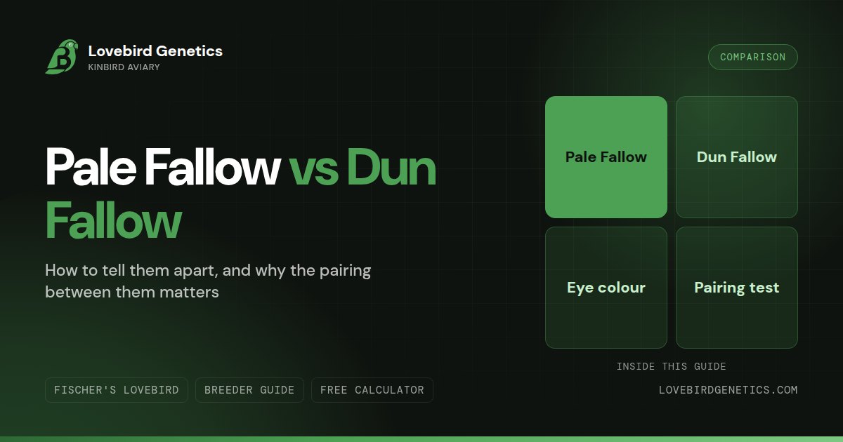 Pale Fallow vs Dun Fallow:How to Tell Them Apart