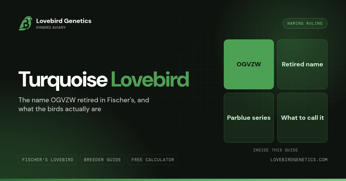 Turquoise Lovebird: The Name OGVZW Retired in Fischer's